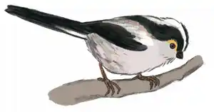 Capture d’écran 2025-12-04 à 15.32.19.png